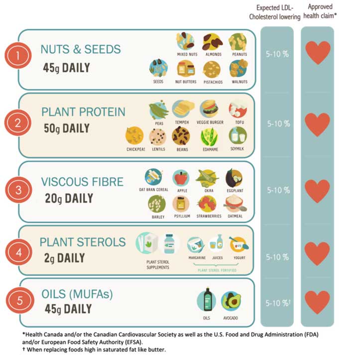 Portfolio Diet Daily Meal Planner